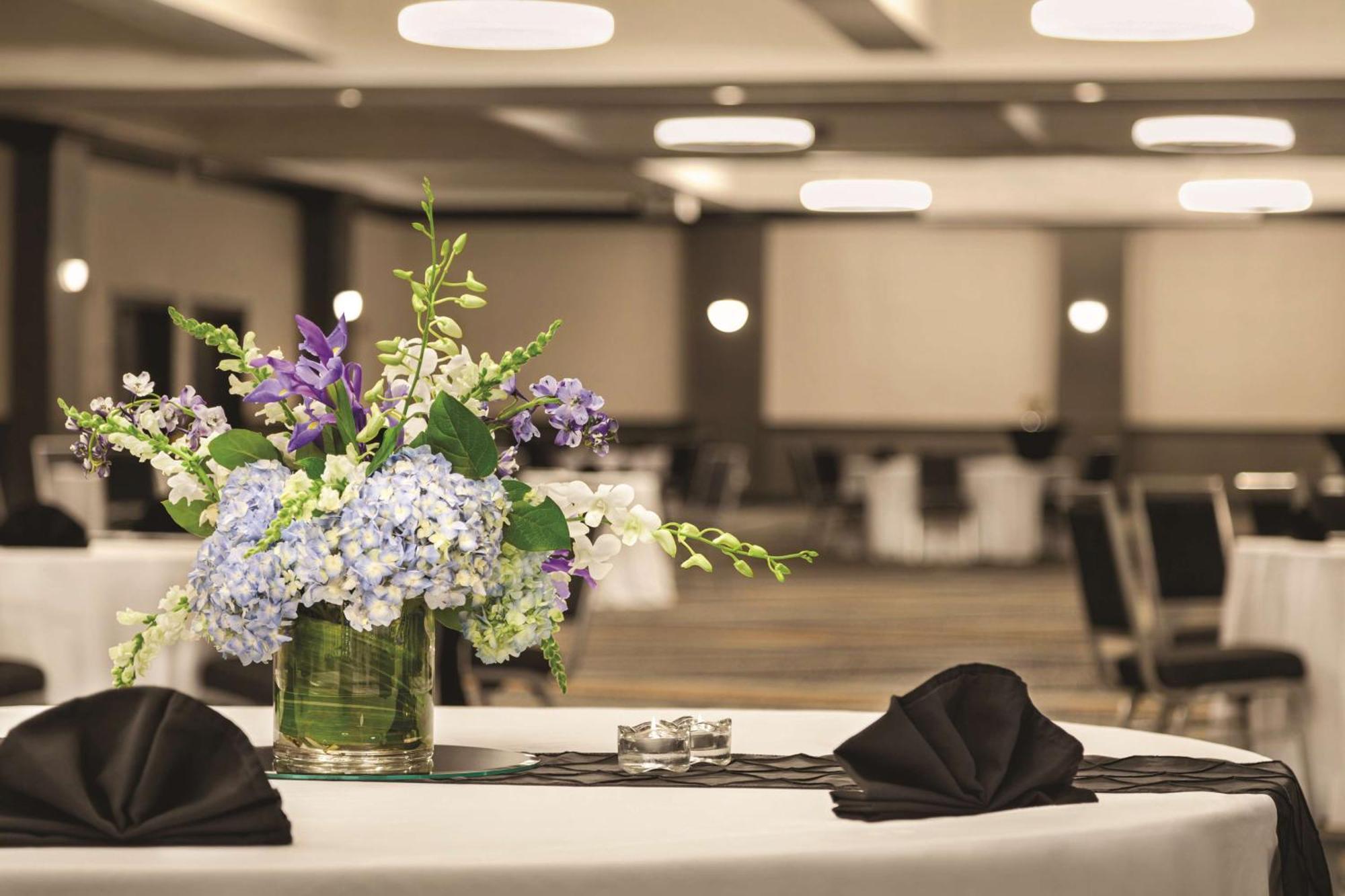 Hilton Knoxville Airport Alcoa Buitenkant foto